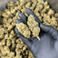 Photo de la Blueberry Muffin Indoor