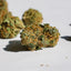 Zoom sur buds Blueberry Muffin CBD popcorn puissantes