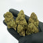 Fleurs Bubblegum Indoor CBD grosses têtes compactes