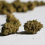 Photo de Bubblegum Popcorn CBD compactes et vertes