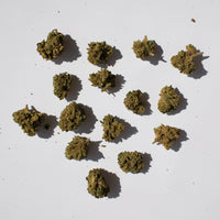 Petits buds CBD Bubblegum au parfum sucré et fruité