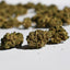 Fleurs Popcorn CBD Bubblegum cultivées en glasshouse