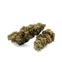 Gelato Glasshouse — fleur dense