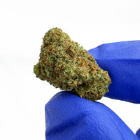 Blue Dream CBD sous un autre angle