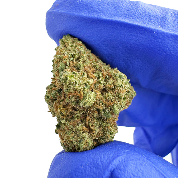 Blue Dream CBD, couleur intense
