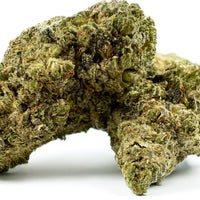 Sweet Cheese Indoor — fleur dense