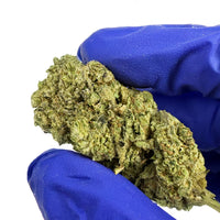 Fleur de CBD Indoor Sweet Cheese