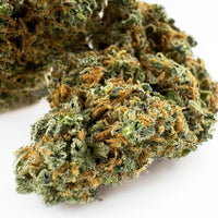 Fleur de CBD Blueberry Muffin — trichomes visibles