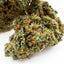 Blueberry Muffin - INDOOR
