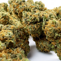 Blueberry Muffin CBD Indoor