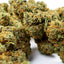 Blueberry Muffin - INDOOR