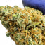 Blueberry Muffin - INDOOR