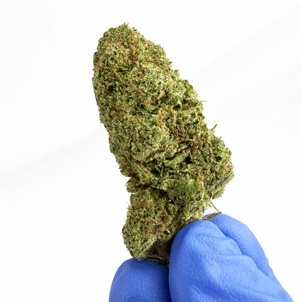 Visuel produit: Bubblegum CBD