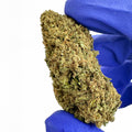 Cake Berry - HYBRID USA
