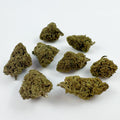 Cake Berry Hybride - Small buds