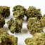 Cake Berry Hybride - Small buds