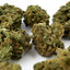 Cake Berry Hybride - Small buds