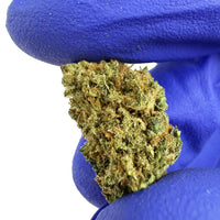 Fleur de CBD Cake Berry — têtes résineuses