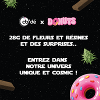 Visuel produit: Calendrier de l'Avent / 28g & résines ! CBD