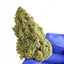 Lemon Cherry Cookies - Hybride USA