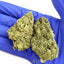 Lemon Cherry Cookies - Hybride USA