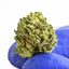 Lemon Cherry Cookies - Small buds