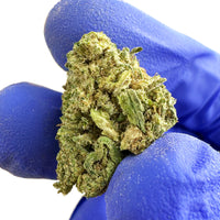 Visuel de fleur de CBD Small Buds Lemon Cherry Cookies