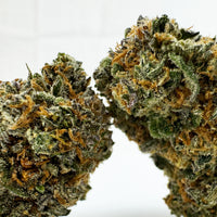 Cherry Pie CBD au meilleur prix