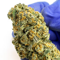 Visuel de Cherry Pie Indoor