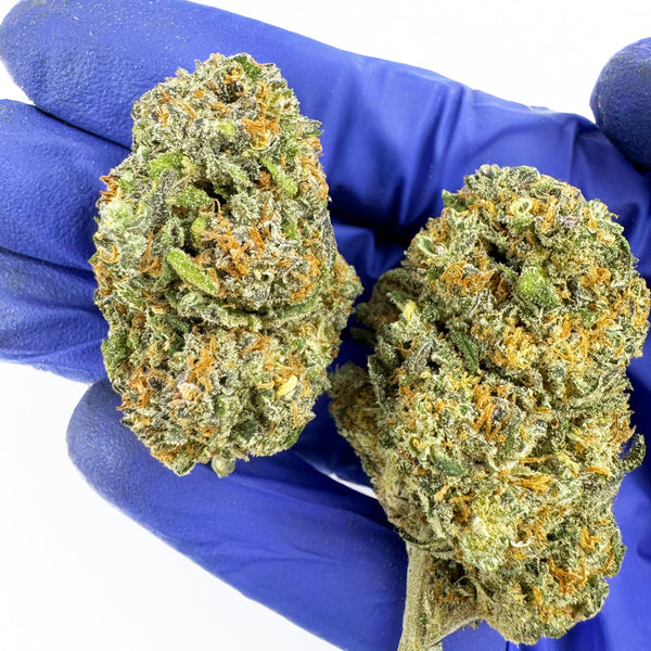 Cherry Pie CBD en détail