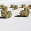 Small Buds CBD - Mix INDOOR