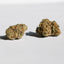 Small Buds CBD - Mix INDOOR