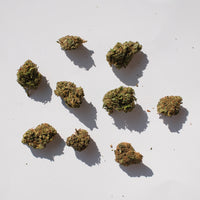 Fleur de CBD Greenhouse Le classique