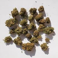 Acheter Le classique CBD chez cb'dé