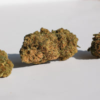 Le classique Greenhouse — trichomes visibles