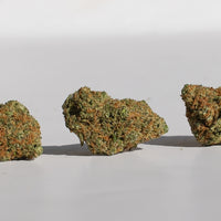 Le classique CBD au meilleur prix