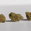CBD Greenhouse - Le classique