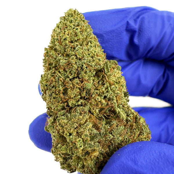 Giga Pack - Gamme Donuts - 19,5g: 13 x 1,5g CBD premium