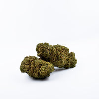 Jack Herer CBD sous un autre angle