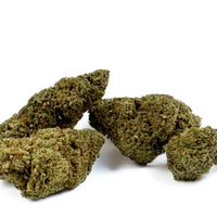 Jack Herer - Hybride USA