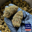 Floatz - Hybride USA