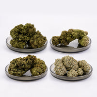 Acheter Pack Hybrides - 4 Variétés à 50% CBD – cb'dé