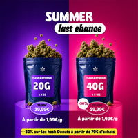 Pack Hybrides - 4 Variétés à 50% CBD de qualité