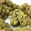 Vue rapprochée de fleur de CBD Outdoor Gelato