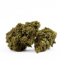 Gelato CBD, têtes résineuses