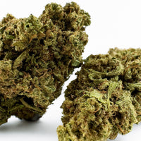 Gelato Outdoor — trichomes visibles