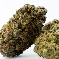 Fleur de CBD GMO Cookies - Elite — couleur intense