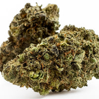 GMO Cookies - Elite Indoor en haute définition