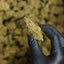Zoom sur la Gold Bar Kush