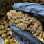 Green Crack - Hybride USA